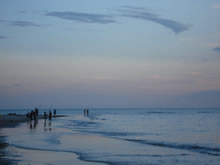 playa de la floresta