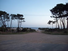 bajada a la playa de pinamar